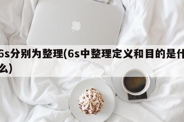 6s分别为整理(6s中整理定义和目的是什么)